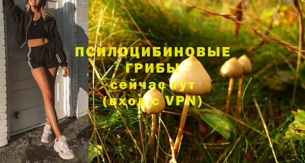 тгк Володарск