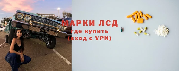 стаф Вяземский