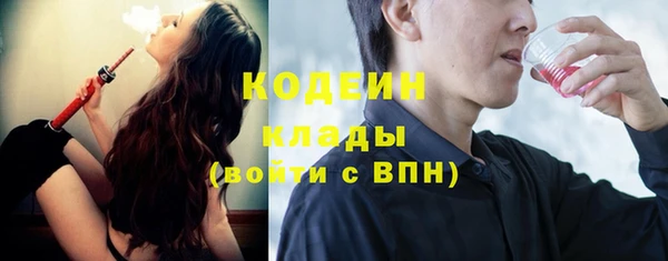 ПСИЛОЦИБИНОВЫЕ ГРИБЫ Вязники