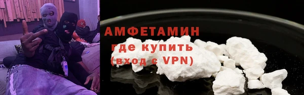 ПСИЛОЦИБИНОВЫЕ ГРИБЫ Вязники