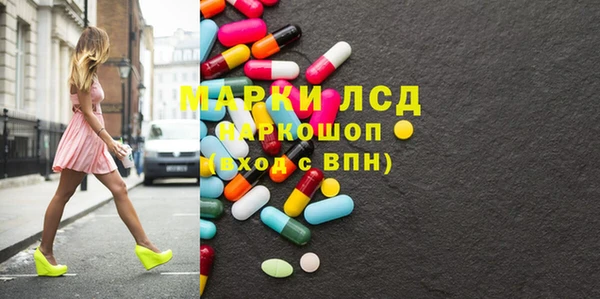 стаф Вяземский