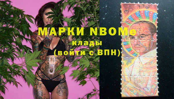 стаф Вяземский