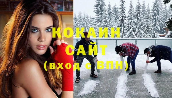 стаф Вяземский