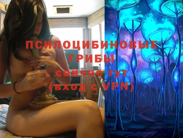apvp Волоколамск