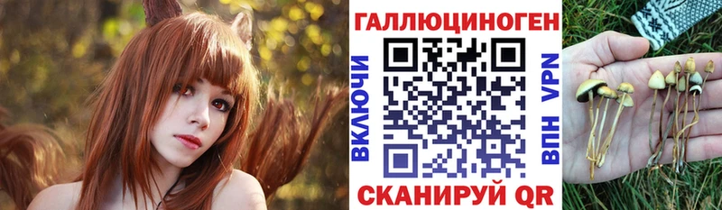 Псилоцибиновые грибы MAGIC MUSHROOMS  где можно купить   Петушки 